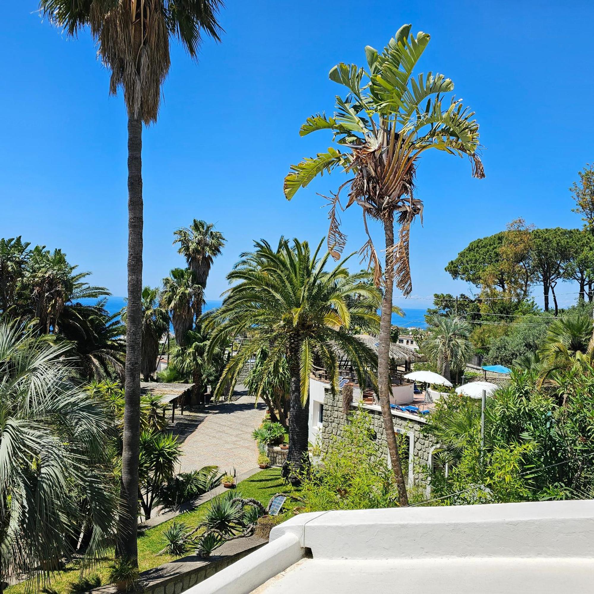 Paco Residence Benessere & Relax Forio di Ischia Pokoj fotografie